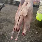معلم مشاوي شوي مشويات خارجي