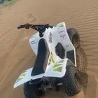 دباب صغير تايوان