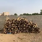 حطب سمر مبروم يابس