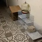 مطير   شبوك صغيره 6