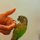 كنيور قرين شك تم البيع خارج الموقع