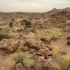 للبيع ارض في المحاله مخطط 744 مساحة 750م2