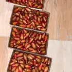تمر برني للبيع