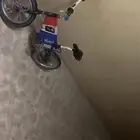 سيكل م يعاني من شي