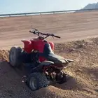 دباب تيواني مقاس 100 استخدام شهر