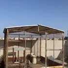 شبك 3 في 4