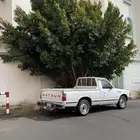 ددسن 1984 (مخزن)