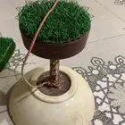 أغراض بر و طيور