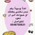 حيوان قطط