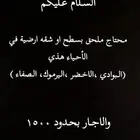 شقه للاجار