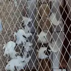 حمام شمال بيشة