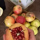 رمان الديرة