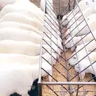 ذبايح