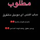 مطلوب دباب افنس