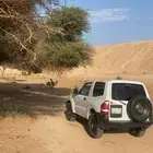 باجيرو ربع للبيع