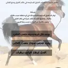 خيل أقراء الاعلان قبل التواصل