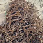 ارطا صندوق شرط يابس