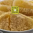 عسل سدر للبيع