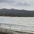 أجود أنواع عنب بني سعد