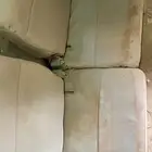 مراتب فتك