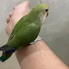 روز أليف هدد مناسب للأطفال