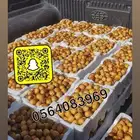 روثانه مناصيف