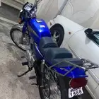 دباب x100 جلد