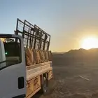 ديانه ونش للتحميل داخل وخارج تبوك