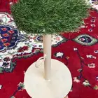 ادوات طيور للبيع عاجل