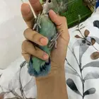 فروخ روز واحد عمره شهر ونص وثاني 3 شهور هدد