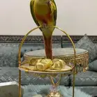 طير الكنيور أليف جدا