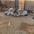 وز للبيع شروره