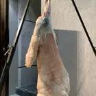 معلم مشويات خارجية