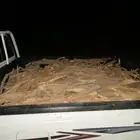 حطب مستورد س. م. ر.