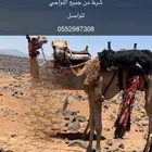 طبع شداد بدو