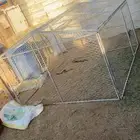 شبك دجاج وإ حمام