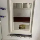 اثاث