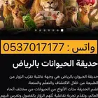 تذاكر حديقة الحيوان