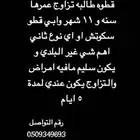 قطه طالبه تزواج