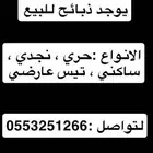 السلام عليكم يوجد لدي ذبائح