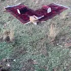 للبيع مدتين مع المراكي 2 افتحو السوم بارك الله فيكم