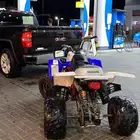 دباب بانشي 2010