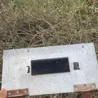 يوجد لعاب للبيع