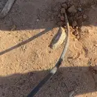 كيبل نحاس أربع خط