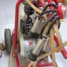 حلبة بقر