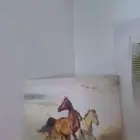 لوحة للبيع السعر 50 ريال