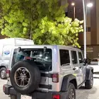 رانجلر 2016 - فئة خاصة