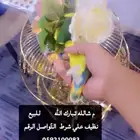 روز نص وليف نظيف علي شرط