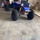 بانشي 10 بلد