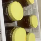 عسل اصلي ميه بالميه